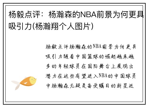 杨毅点评：杨瀚森的NBA前景为何更具吸引力(杨瀚翔个人图片)