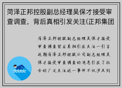 菏泽正邦控股副总经理吴保才接受审查调查，背后真相引发关注(正邦集团总经理吴志军)